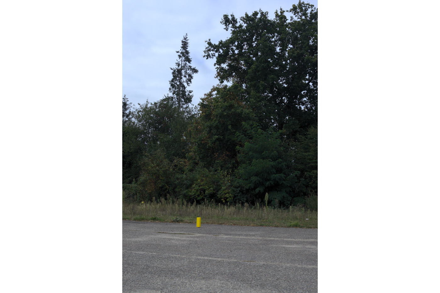 installation view DU21