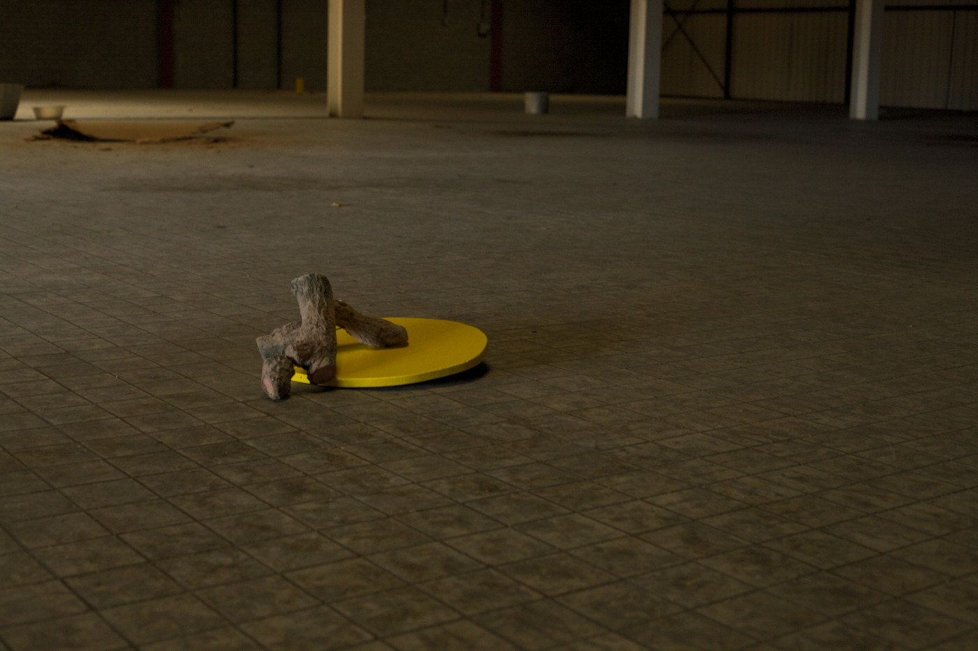 installation view DU21