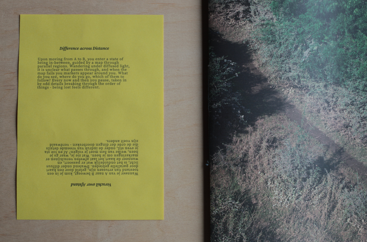 installation view DU21