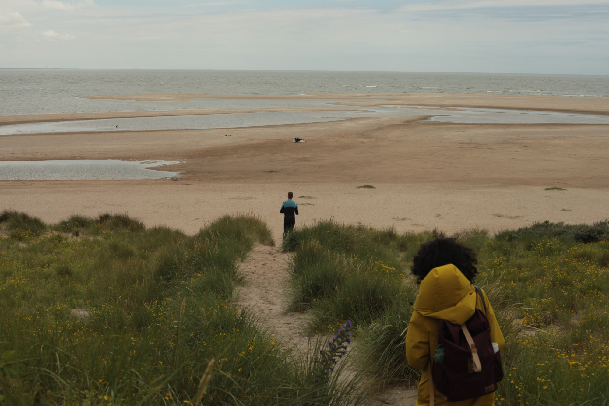 Field Research at the Maasvlakte
