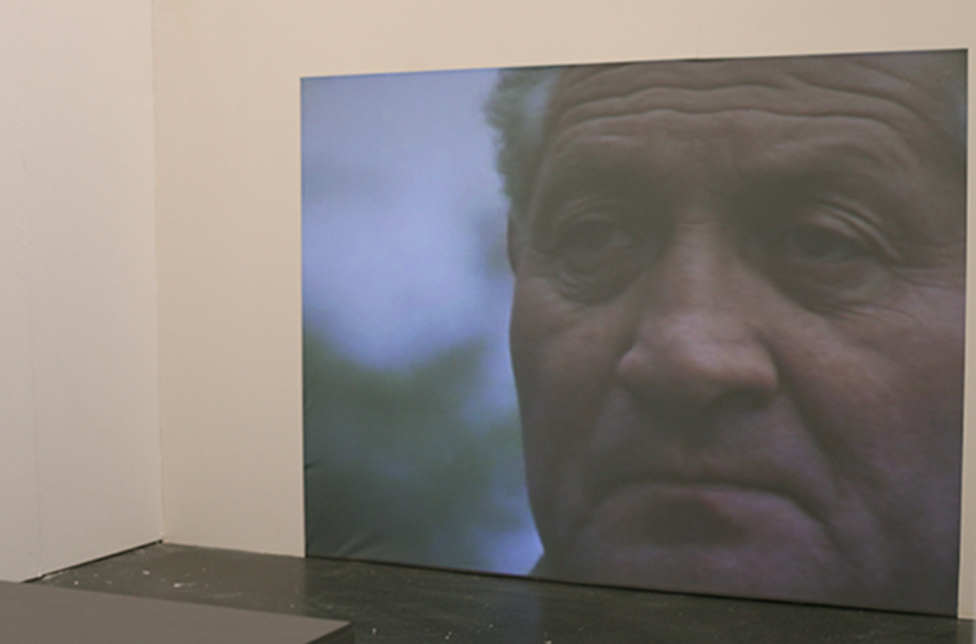 cropped image of the title page of the self-published book