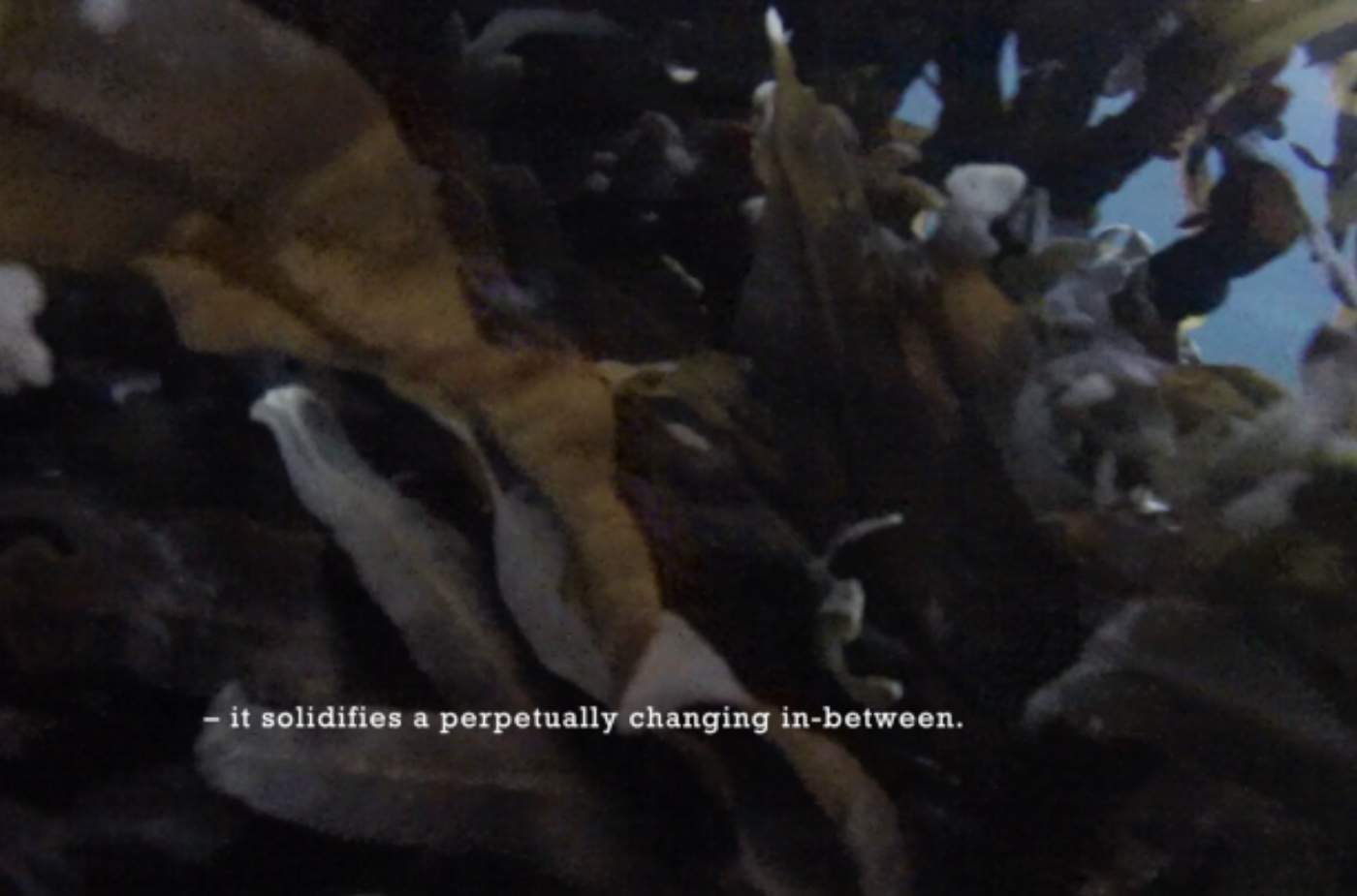 screenshot of the video essay, underwater scene with subtitle: '-it solidifies a perpetually changing in-between.'